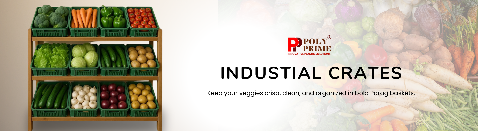 website banner (4)